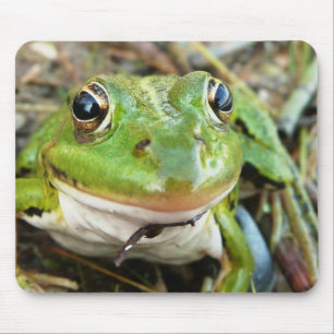 Frog Images Mouse Pad
