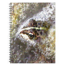 Frog Immersed In Water Bubbles and Frogspawn