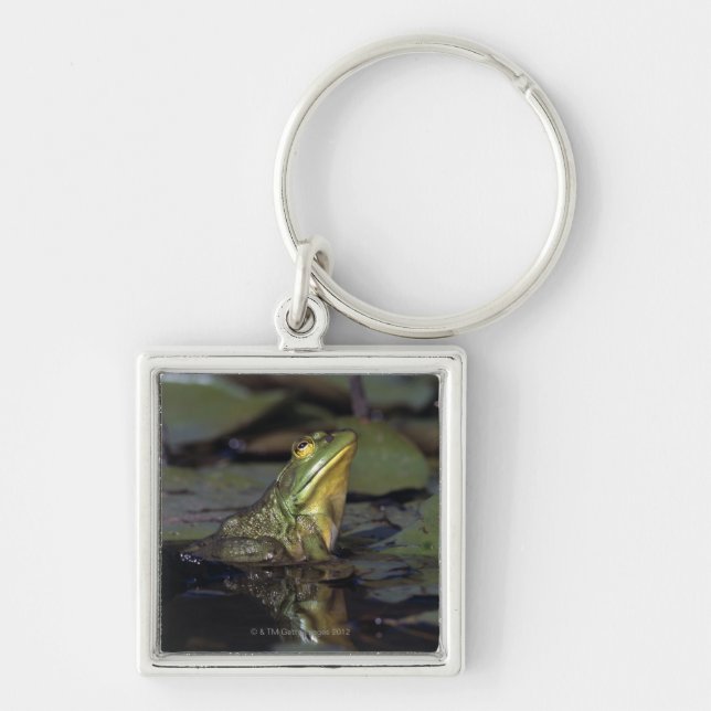 Frog in a pond key ring (Front)