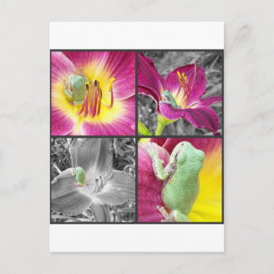 Frog in flower collage postcard