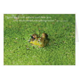 Frog in Green Algae
