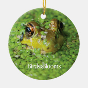 Frog in Green Algae Ceramic Ornament