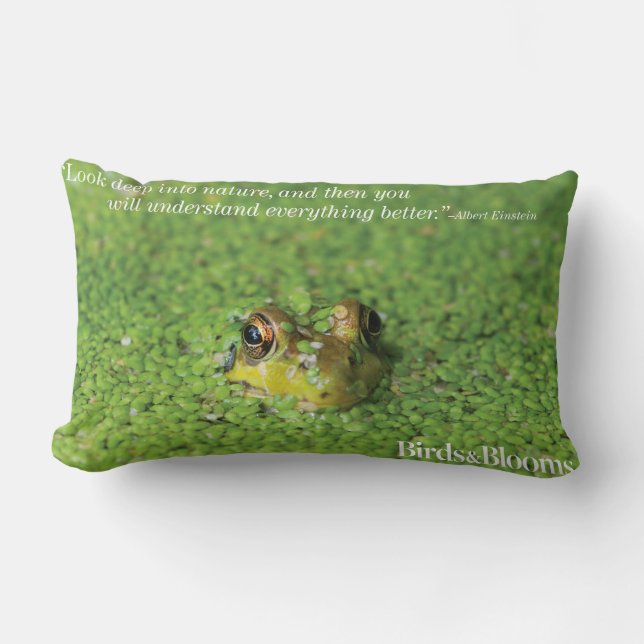 Frog in Green Algae Lumbar Cushion (Front)