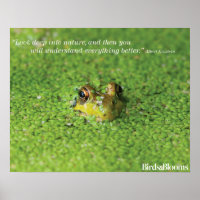 Frog in Green Algae