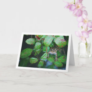 Frog in Leafy Pond Portrait Card