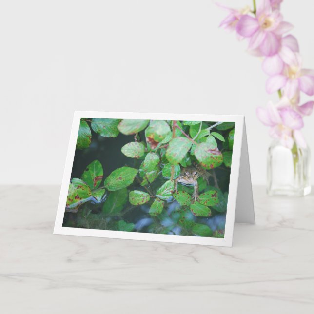 Frog in Leafy Pond Portrait Card (Orchid)