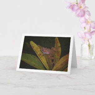 Frog in Pond Portrait Card