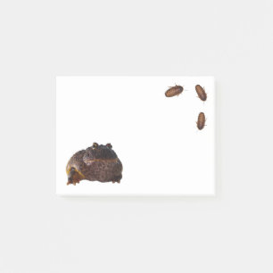 Frog-it Post-it Notes