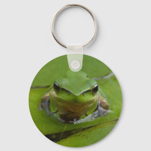 frog keychain