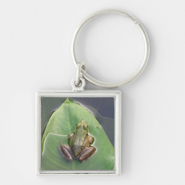 Frog Keychain (Front)