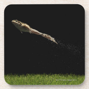 frog leaping off fresh green grass coaster