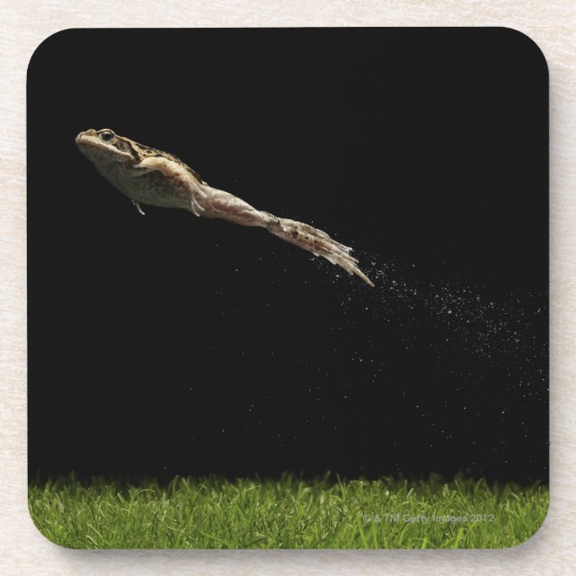 frog leaping off fresh green grass coaster (Front)