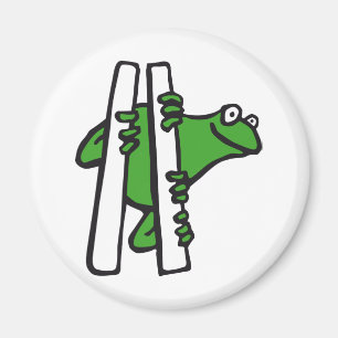 frog magnet