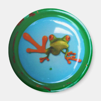 frog magnet