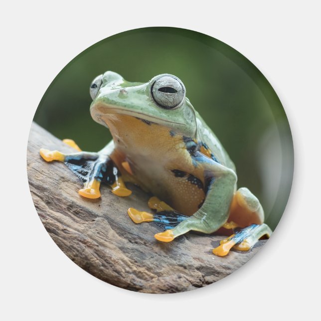 Frog Magnet (Front)
