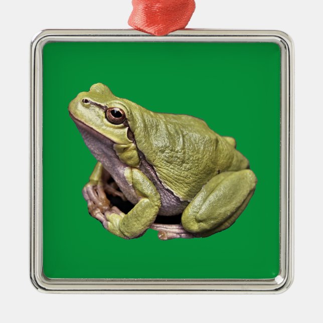 Frog Metal Ornament (Front)