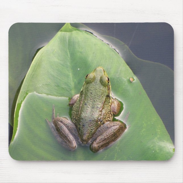 Frog Mousepad (Front)