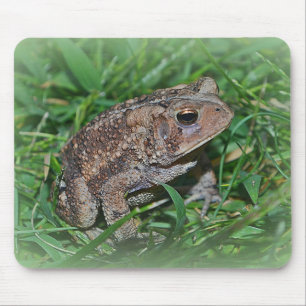 Frog Mousepad