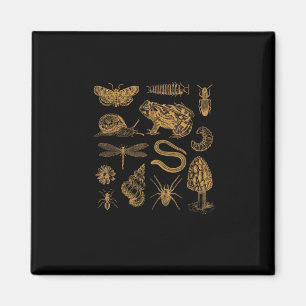 Frog Mushroom Moth Vintage Lover Goblincore Magnet