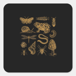 Frog Mushroom Moth Vintage Lover Goblincore Square Sticker