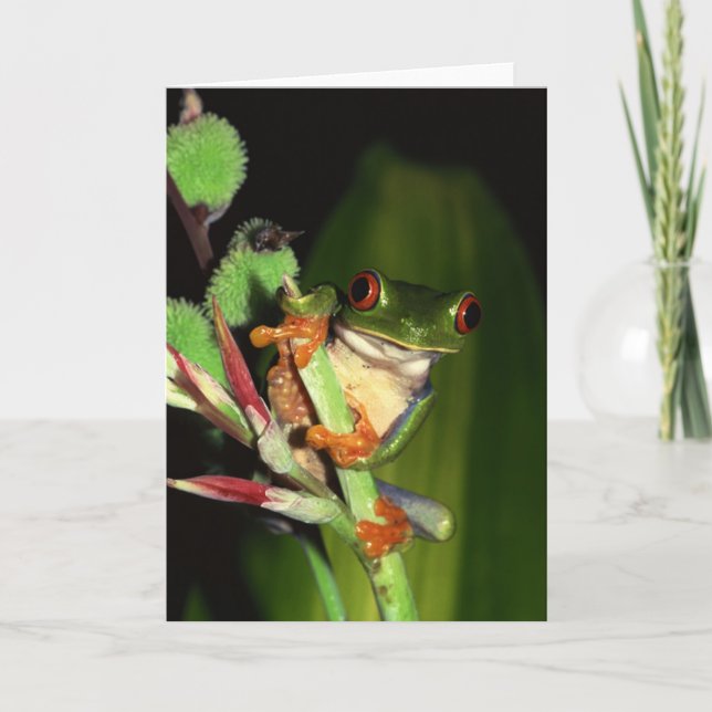 Frog notecards (Front)