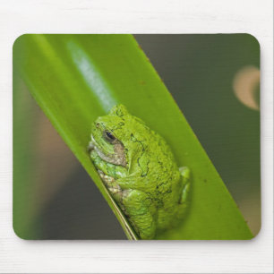 Frog On a Green Leaf Mouse Pad