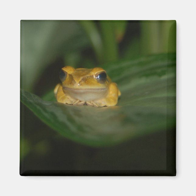 Frog on a Leaf Magnet (Front)