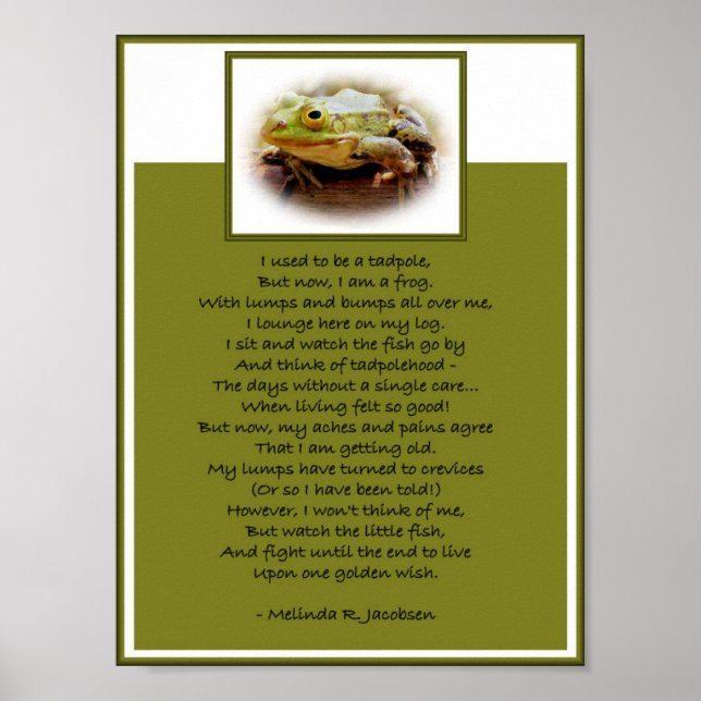 Frog On A Log Poster (Front)