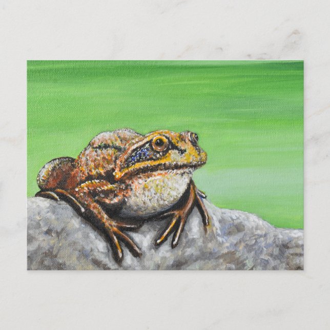 Frog on a Rock painting Postcard (Front)