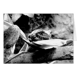Frog on Leaf B+W Greeting Card