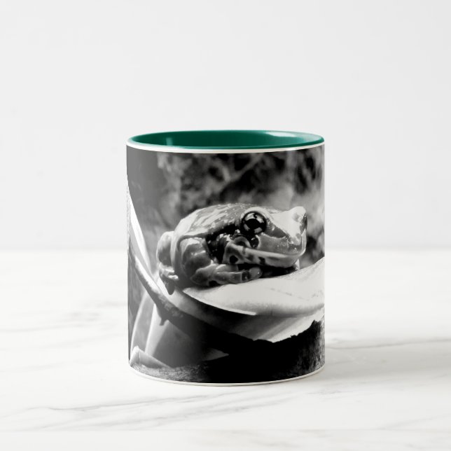 Frog on Leaf B+W Two-Tone Coffee Mug (Center)
