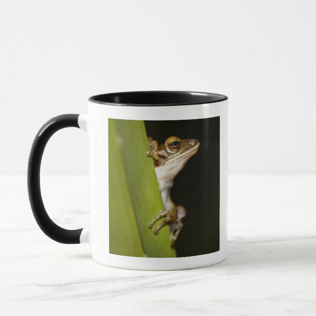 Frog on leaf in profile mug (Left)