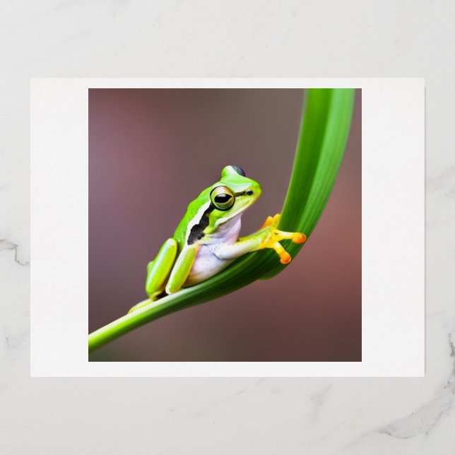 frog on leaf postcard (Front)