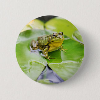 Frog On Lilly Pad 6 Cm Round Badge