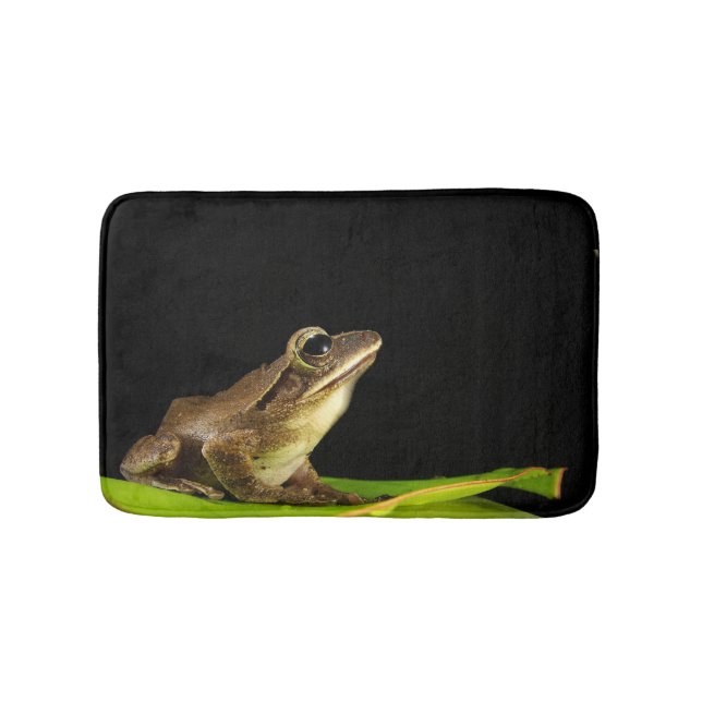 Frog on Lily Pad at Night Bath Mat (Front)
