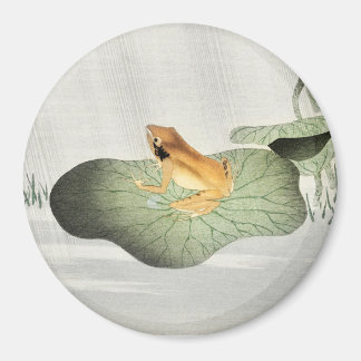 Frog on lotus leaf - Koson Magnet