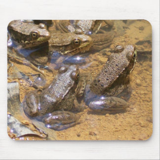 frog pad mouse pad
