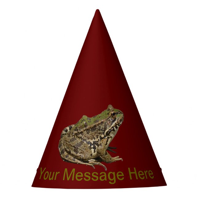 Frog Party Hat (Front)