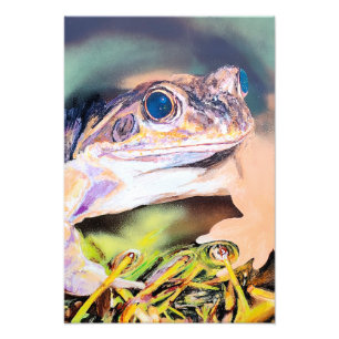 Frog Photo Print