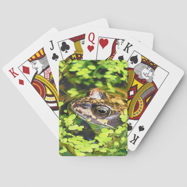 FROG  PLAYING CARDS (Back)