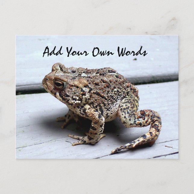 Frog Postcard (Front)