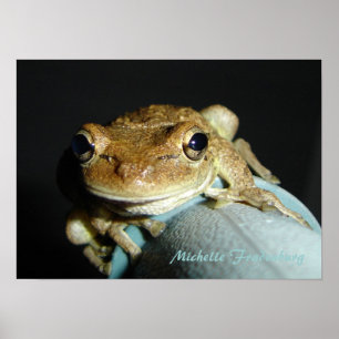 Frog Poster