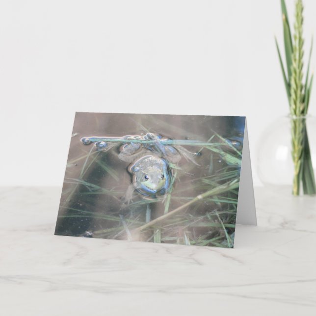 Frog/Pray Card (Front)