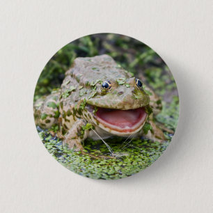 Frog Prince Badge
