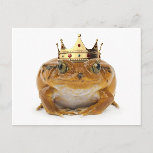 Frog Prince - front Postcard (Front)