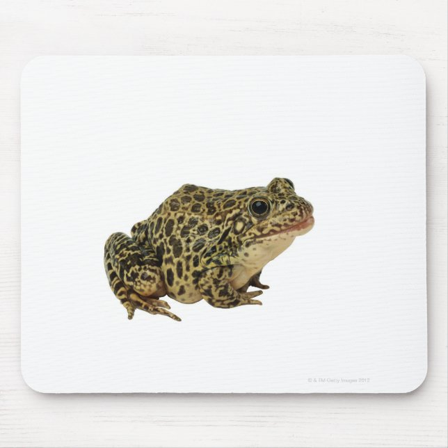 Frog shadow mouse pad (Front)