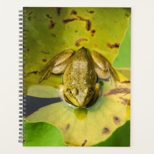 Frog Spiral Weekly/Monthly Planner