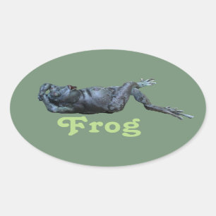 Frog Statue Oval Sticker