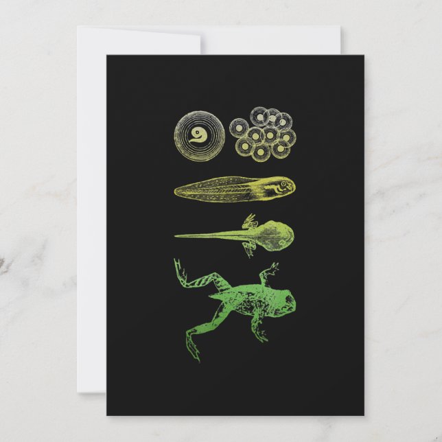 Frog Tadpole  Metamorphosis Life Cycle Biology Holiday Card (Front)