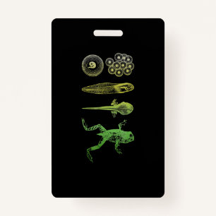 Frog Tadpole Metamorphosis Life Cycle Biology ID Badge